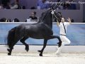 IMG_2826-Elger-536