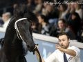 IMG_2843-Elger-536