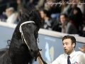 IMG_2844-Elger-536