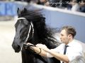 IMG_2897-Elger-536