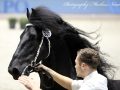IMG_2901-Elger-536