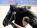 IMG_2902-Elger-536
