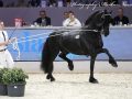 IMG_0942-Elias-494