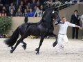 IMG_3397-Elias-494