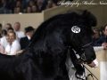 IMG_6482-Elias-494