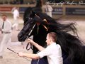 IMG_1616-Epke-474
