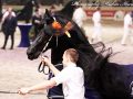 IMG_1617-Epke-474