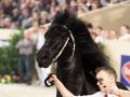 IMG_1838-Epke-474