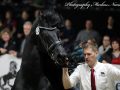 IMG_2613-Epke-474