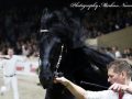 IMG_4040-Epke-474