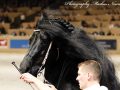 IMG_9437-Epke-474