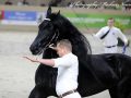 IMG_2998-Erryt-488