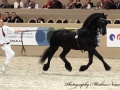IMG_0007-Fabe-348