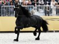 IMG_0004-Faust-523
