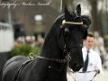 IMG_0012-Faust-523