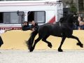 IMG_9949-Faust-523