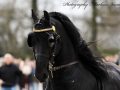 IMG_9964-Faust-523