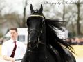 IMG_9985-Faust-523