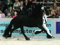 IMG_8625-Fede350