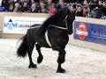 IMG_9249-Fede350