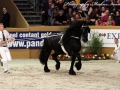 IMG_9992-Fede350