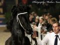 IMG_0213-Fonger-478