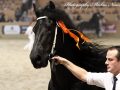IMG_0656-Fonger-478