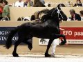 IMG_1153-Fonger-478