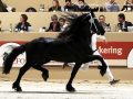 IMG_1178-Fonger-478