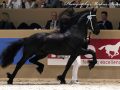 IMG_1675-Fonger-478