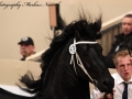 IMG_2086-Fonger478