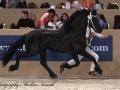 IMG_2114-Fonger478