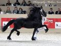 IMG_2665-Fonger-478