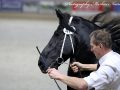 IMG_2682-Fonger-478
