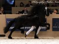 IMG_3715-Fonger-478