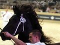 IMG_8159-Fonger-478