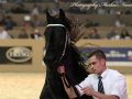 IMG_8376-Fonger-478