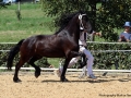 IMG_4801 Kopie