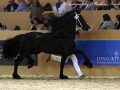 IMG_0232-Gerben-479