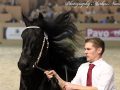 IMG_0256-Gerben-479