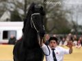 IMG_0455-Gerben-479
