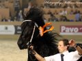 IMG_0661-Gerben-479