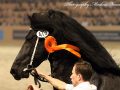 IMG_0662-Gerben-479