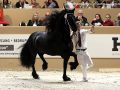 IMG_1211-Gerben-479