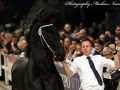 IMG_1251-Gerben-479
