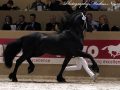 IMG_1737-Gerben-479