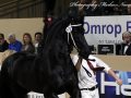 IMG_4303-Gerben-479