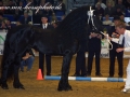 img_3305-gerryt360