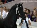 IMG_9950-Gjalt-426
