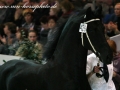 img_0038-gjalt426
